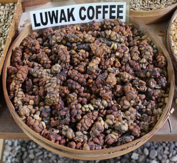 KOPI LUWAK (FRIED BEANS) - Image 5